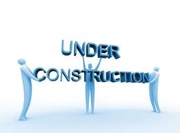 Senior Consultants
